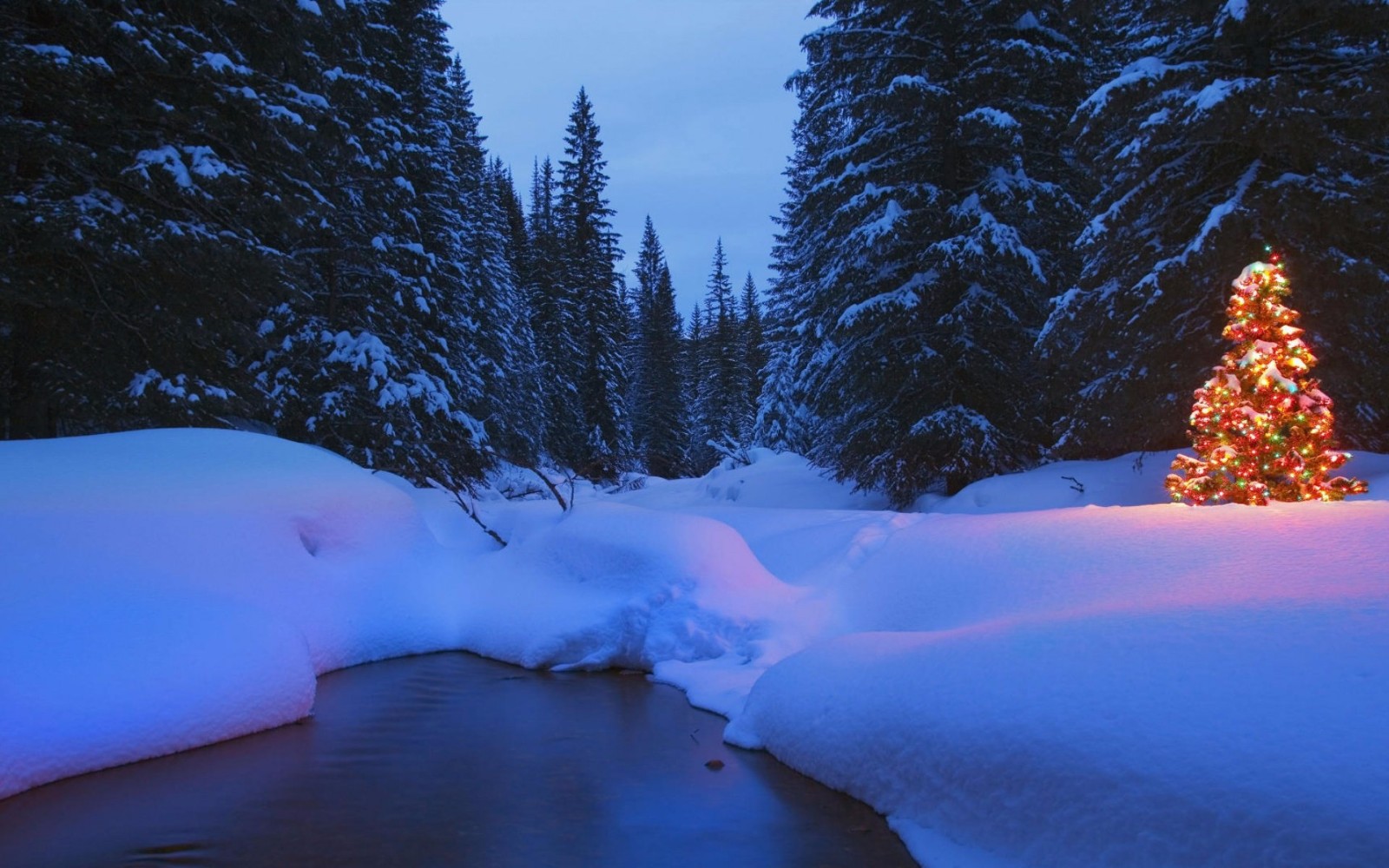 因为我爱的那么深,是那么的真