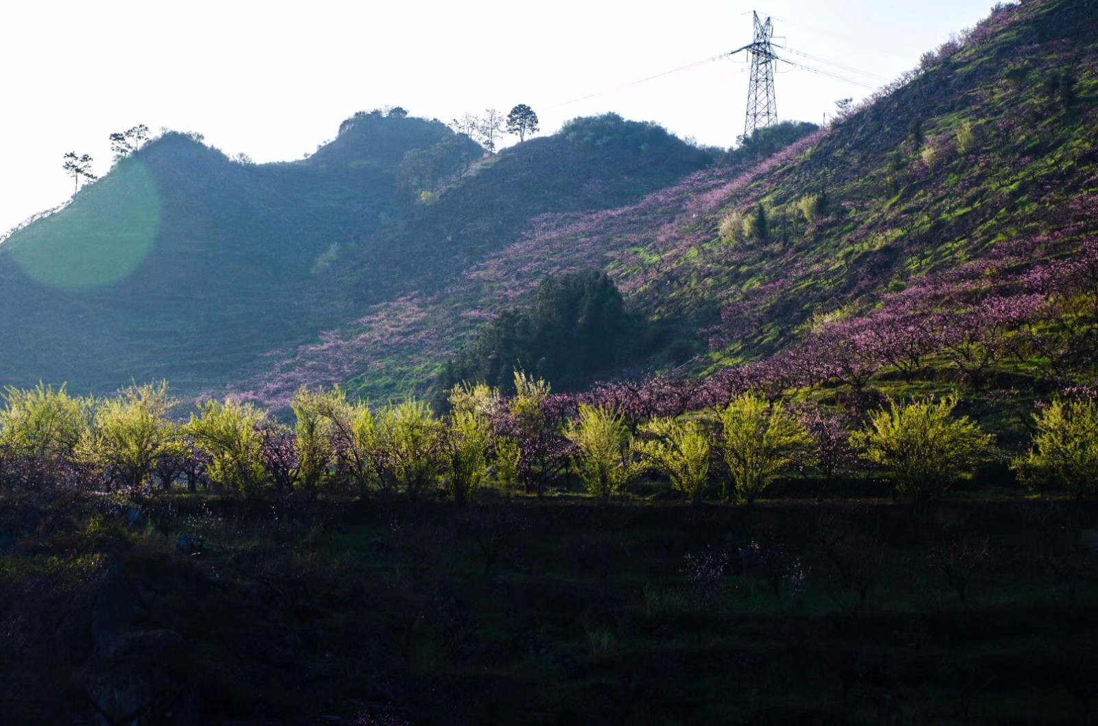 兴义桃花谷,桃花谷,丹凤桃花谷_大山谷图库