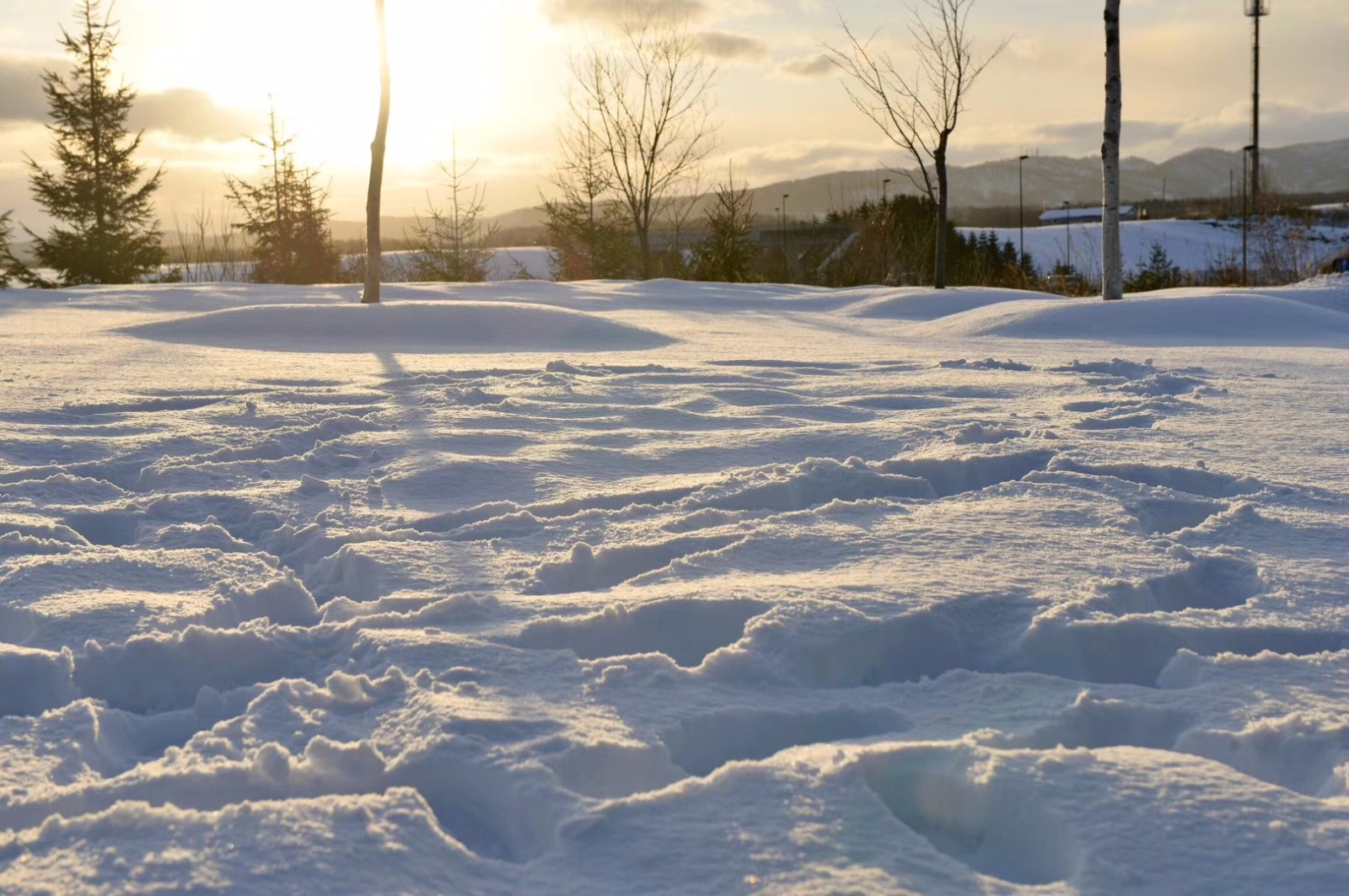 日本北海道下雪了,平生第一次看到这么大的雪