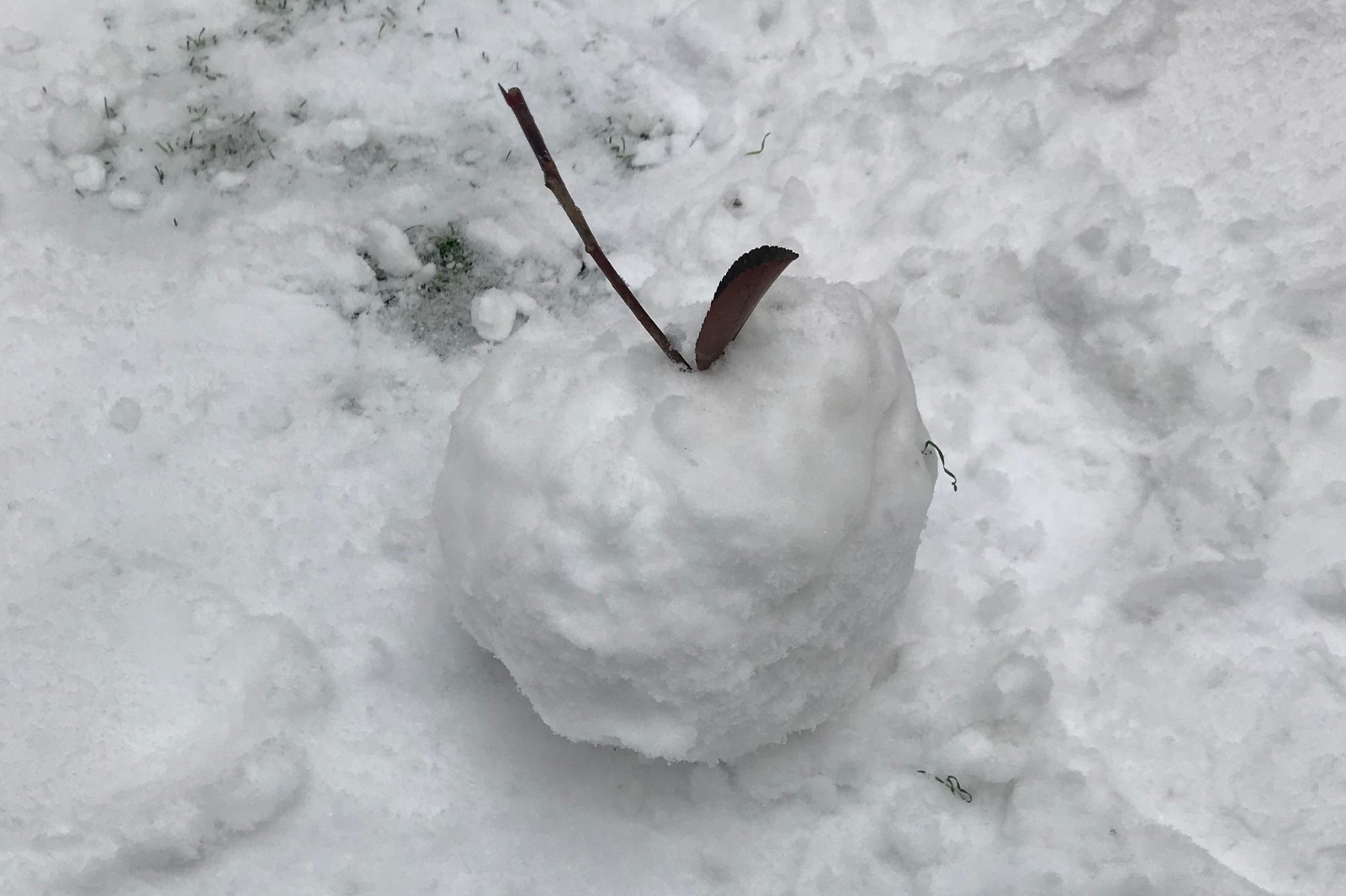 郑州经开区能庄小学:雪地里来了一群小画家
