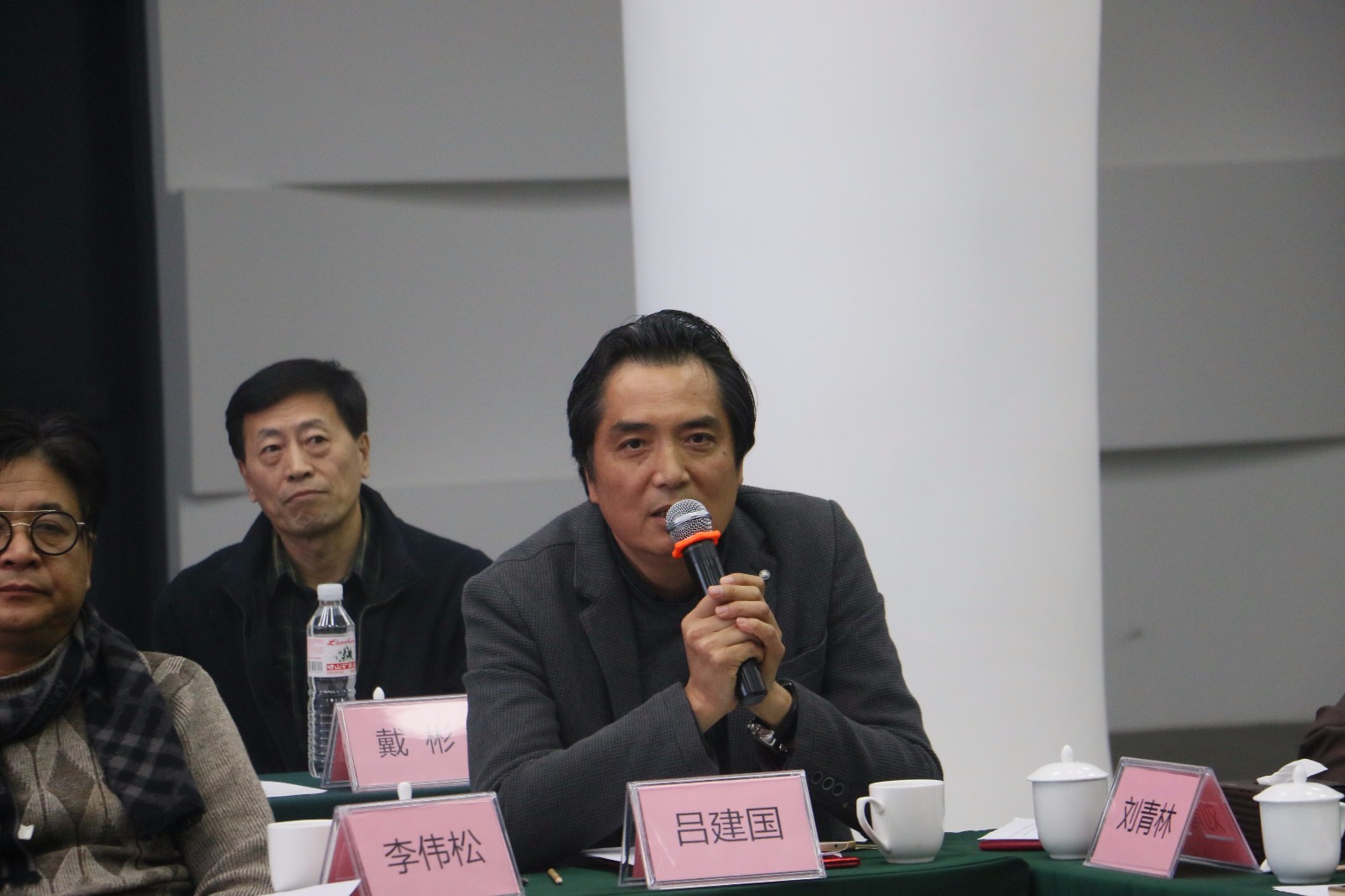 吕建国专家在发言