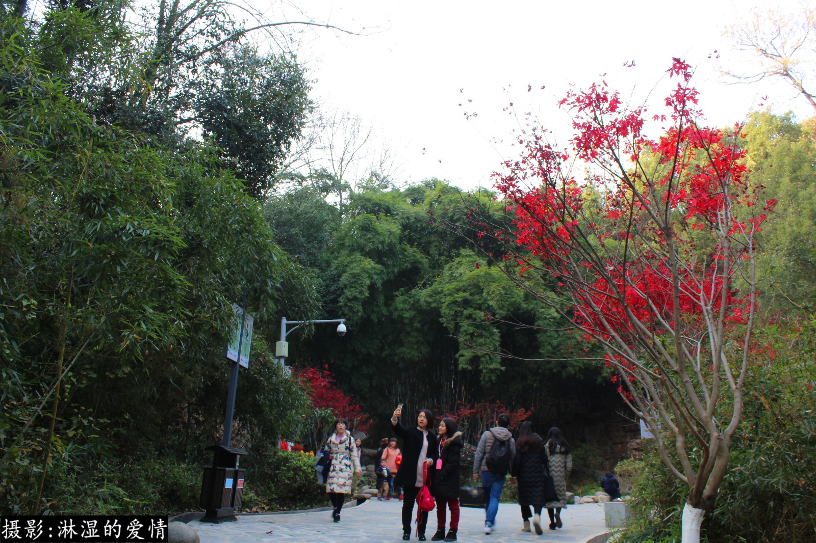 平安夜长沙南郊公园随手拍,处处都是美景,一份惬意的