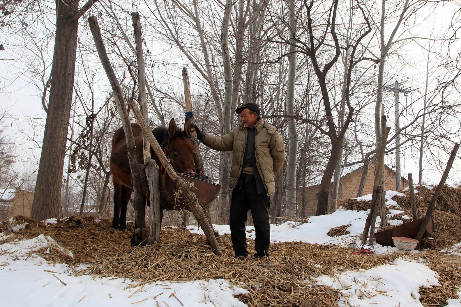 河南陕县农村即将消失的地坑院里传统农耕生活