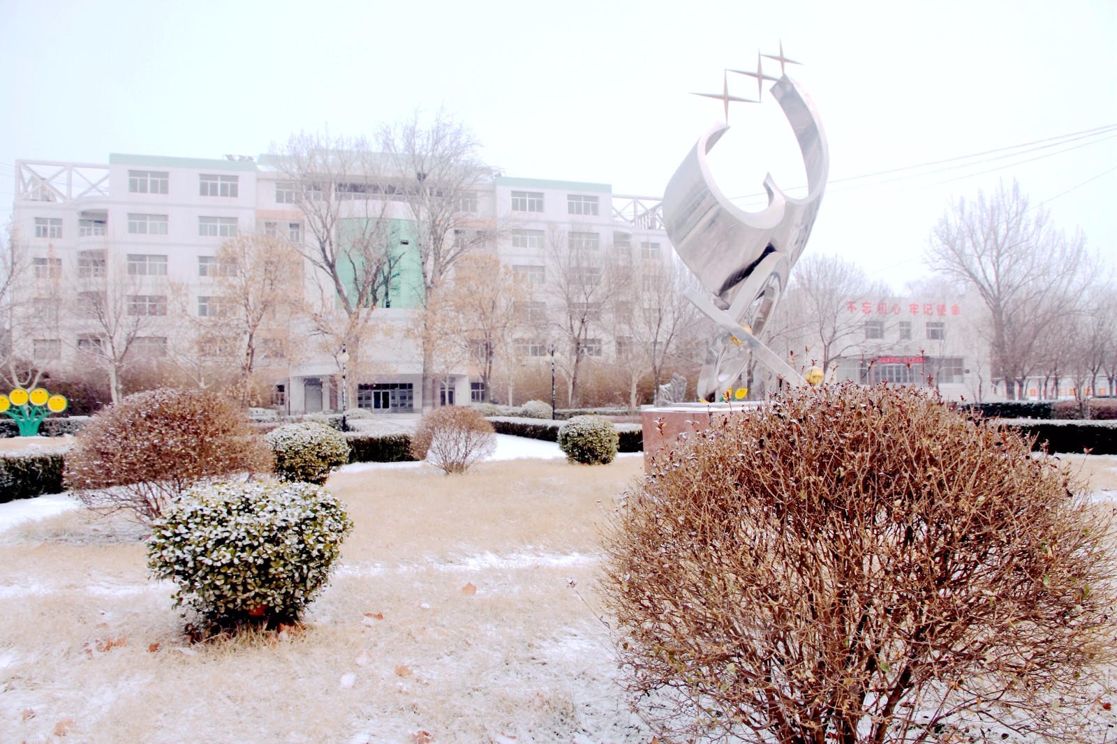 沧县中学2018年的第一场雪