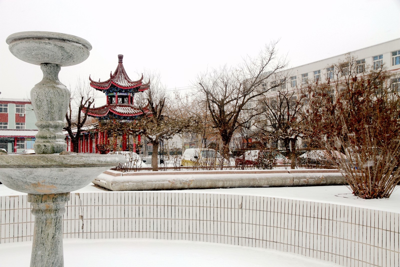 沧县中学2018年的第一场雪