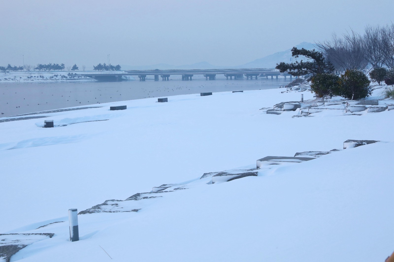 山东荣成:暴雪初霁 梦幻晨曦美如童话