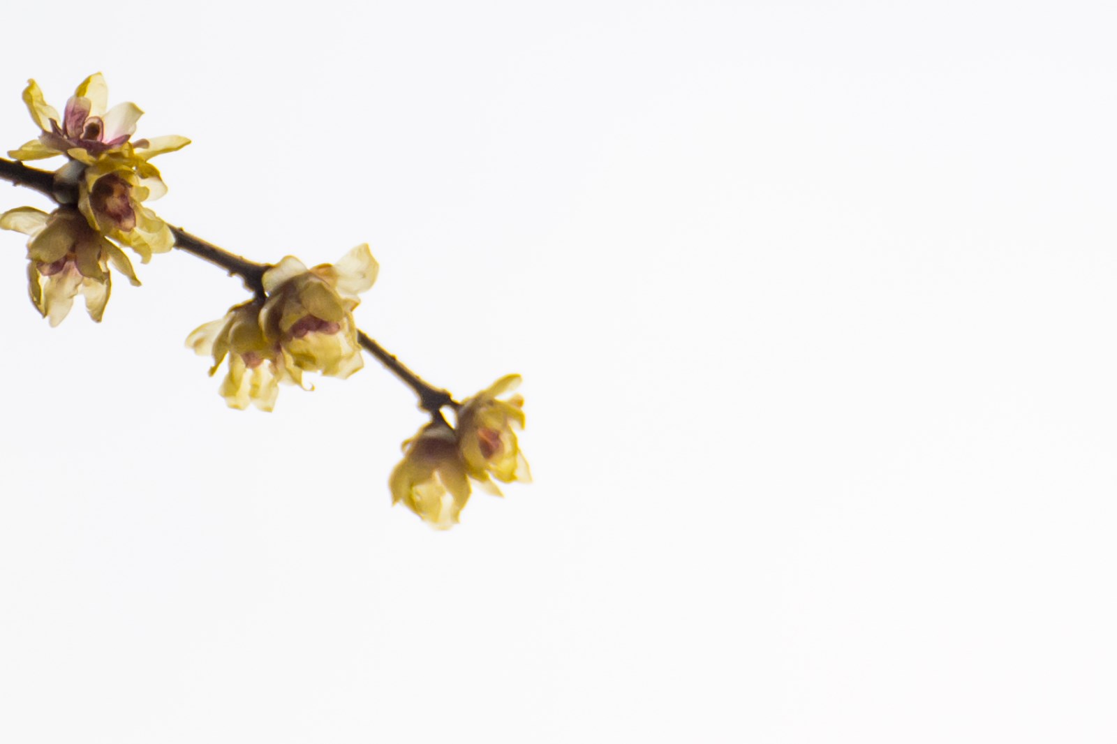 苏州上方山--自然与人文和谐的地方