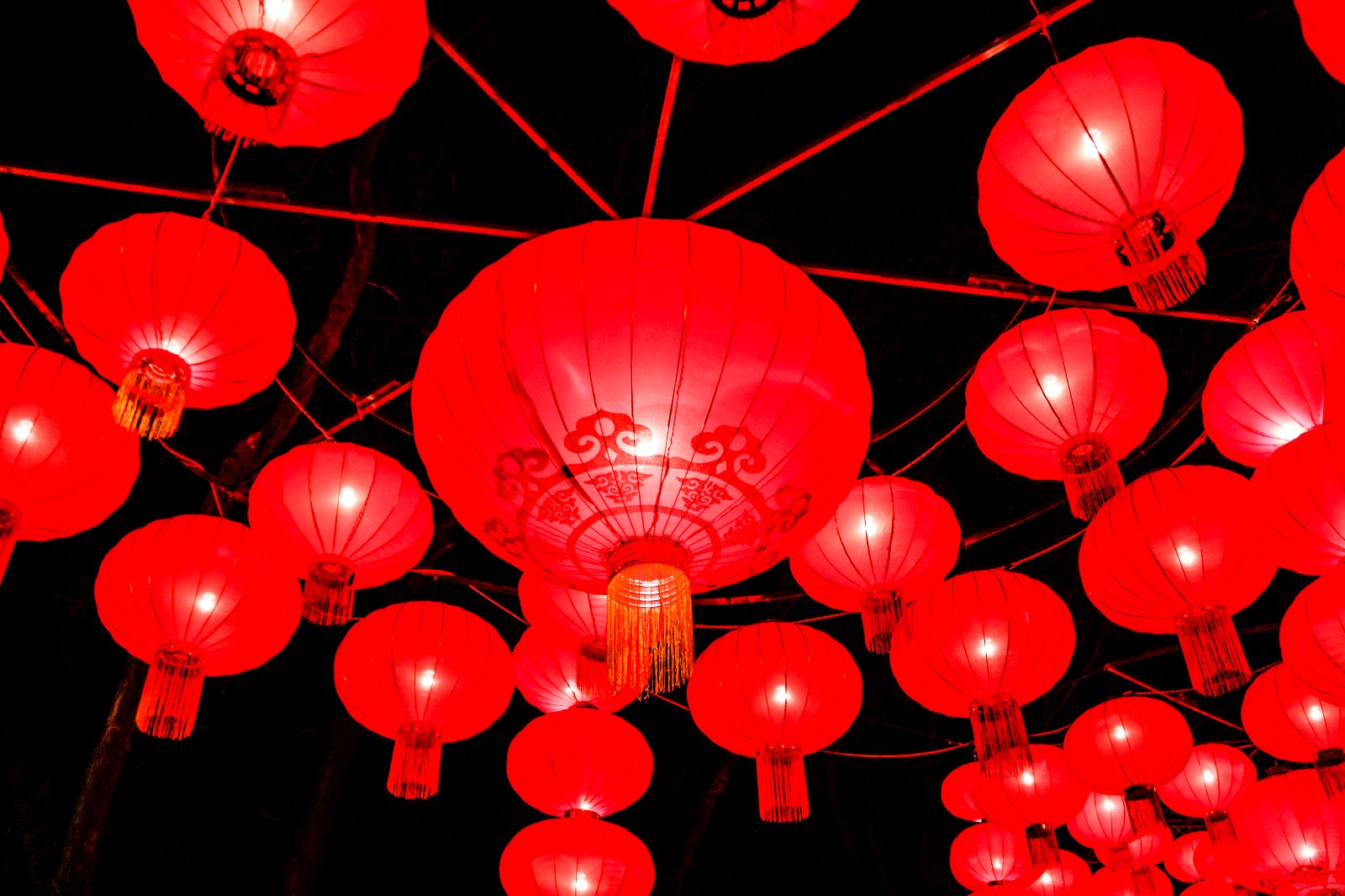 过年没有年味的作文图片