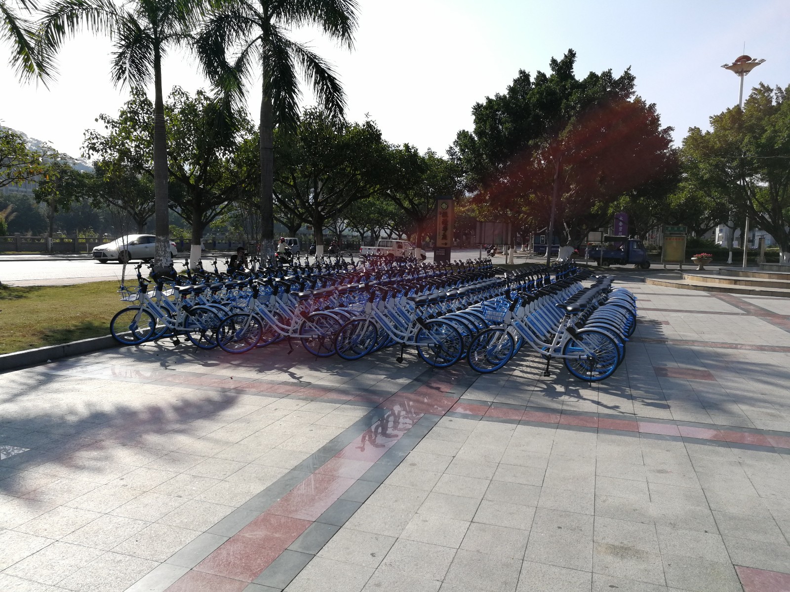 哈罗单车入驻永春启动仪式