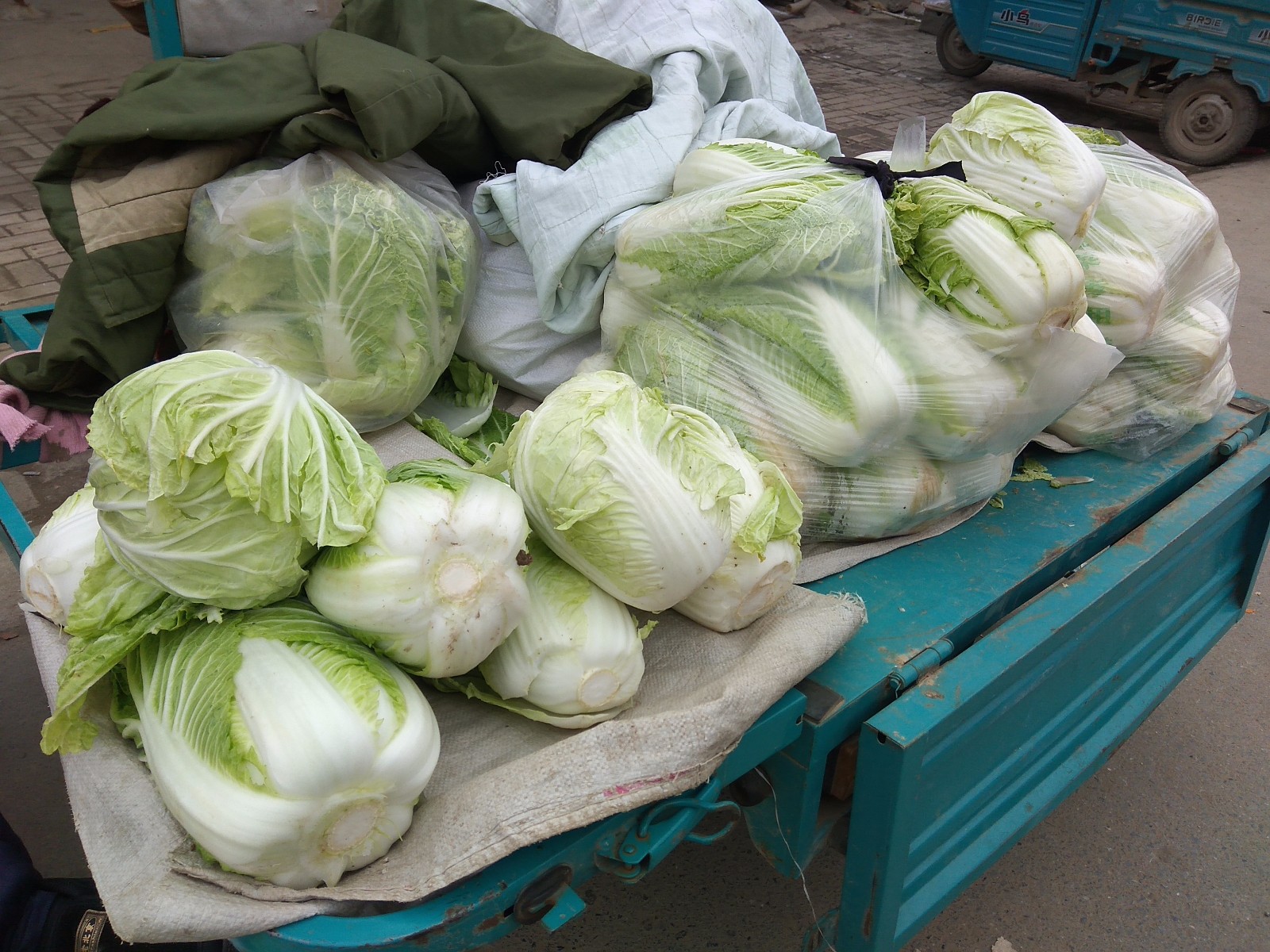 大白菜霜降后如何管理，霜冻对大白菜会有哪些影响，什么时候收获_植保技术_191农资人 - 农技社区服务平台