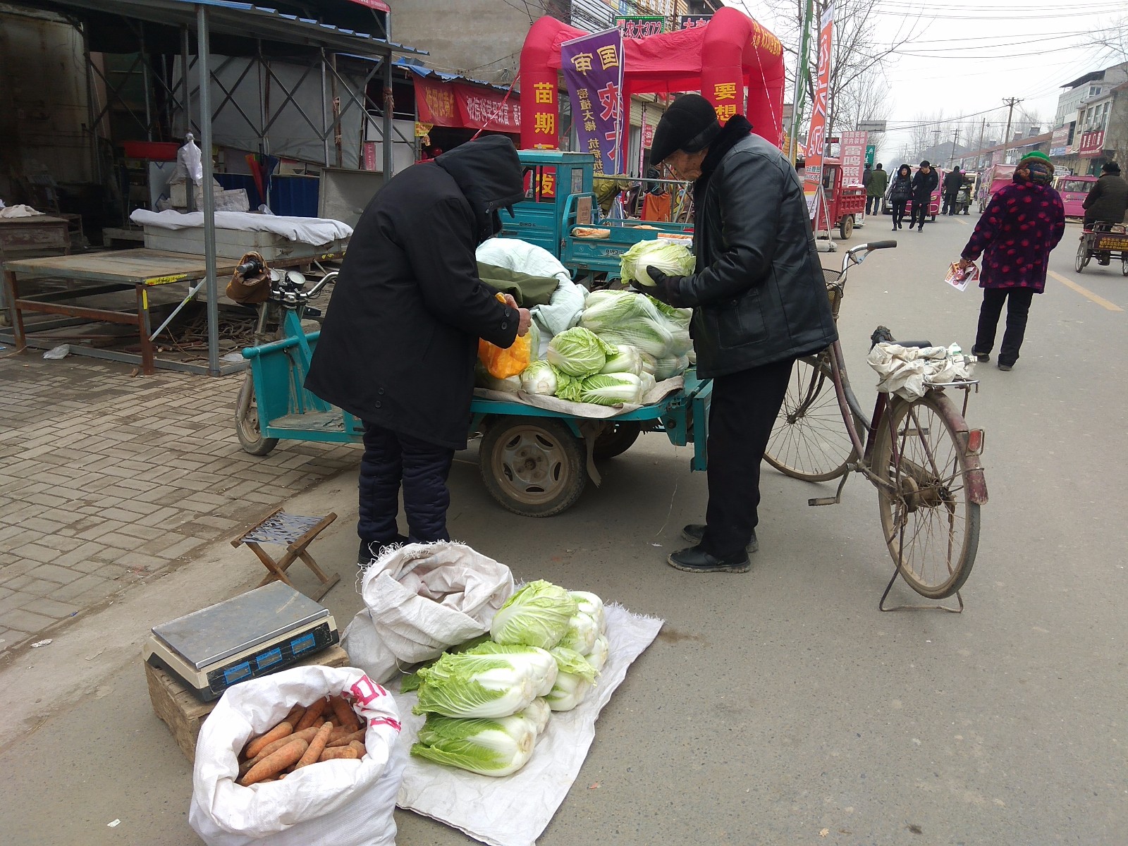寒风中河南6旬老人集市摆摊卖白菜,蜷缩在一旁,3毛1斤无人问津