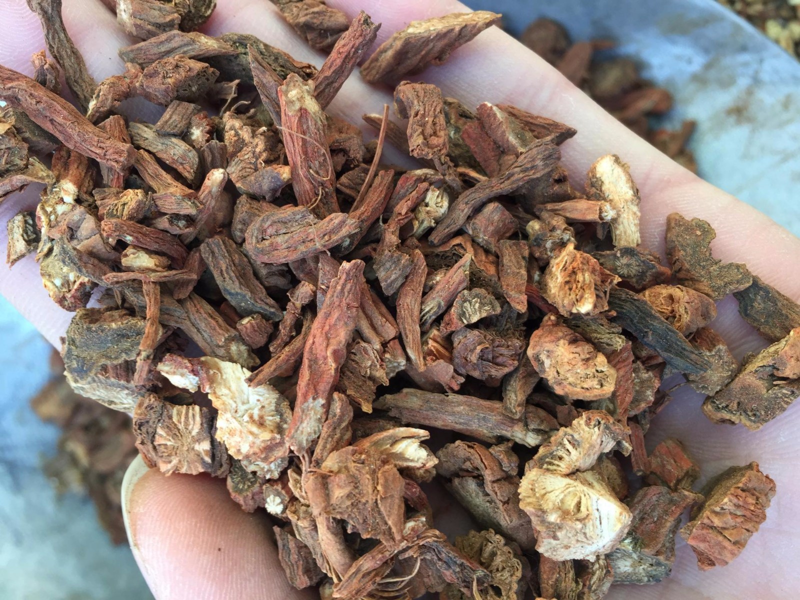 老司机用这个泡茶,竟打败了13年的颈椎病,为