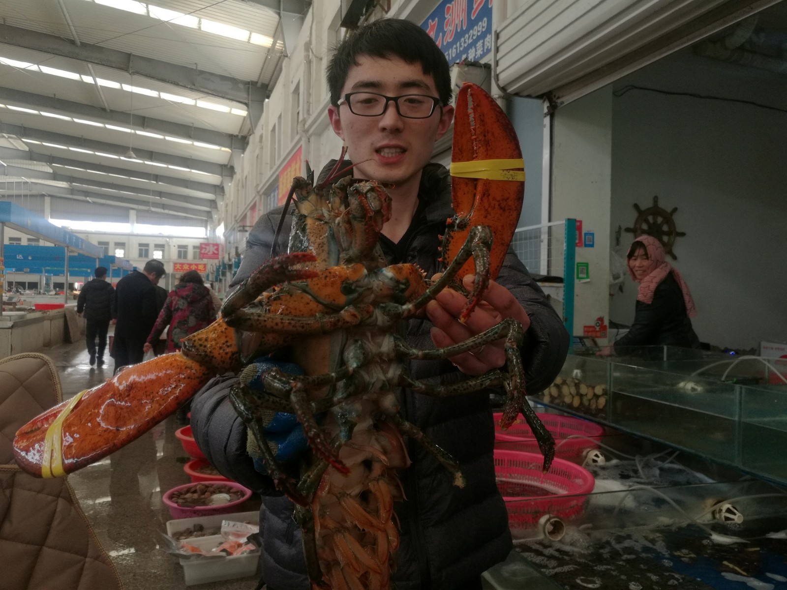 售价630元的澳洲大龙虾早晨死了 没想到死了还能卖到400元