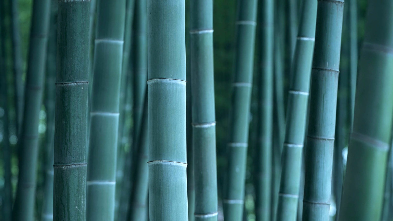 夫妻吵架公约：把最后一句话留给对方说