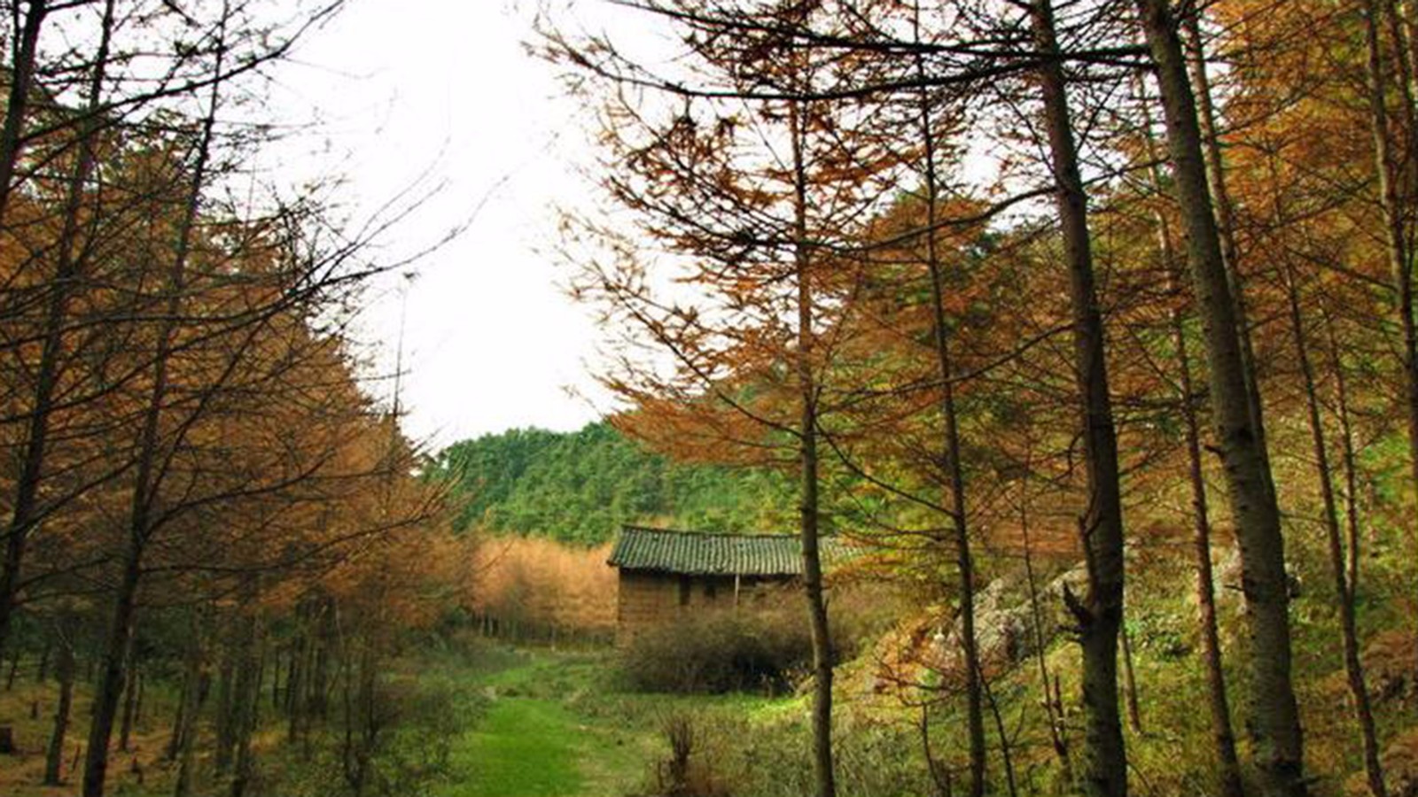 甘肃陇南成县八大景——八仙洞