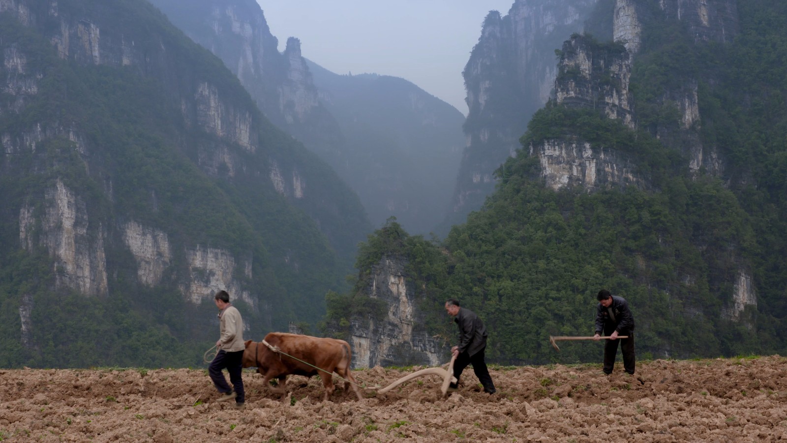贵州扶贫记录电影《出山记》新鲜出炉将在全国政协礼堂首映