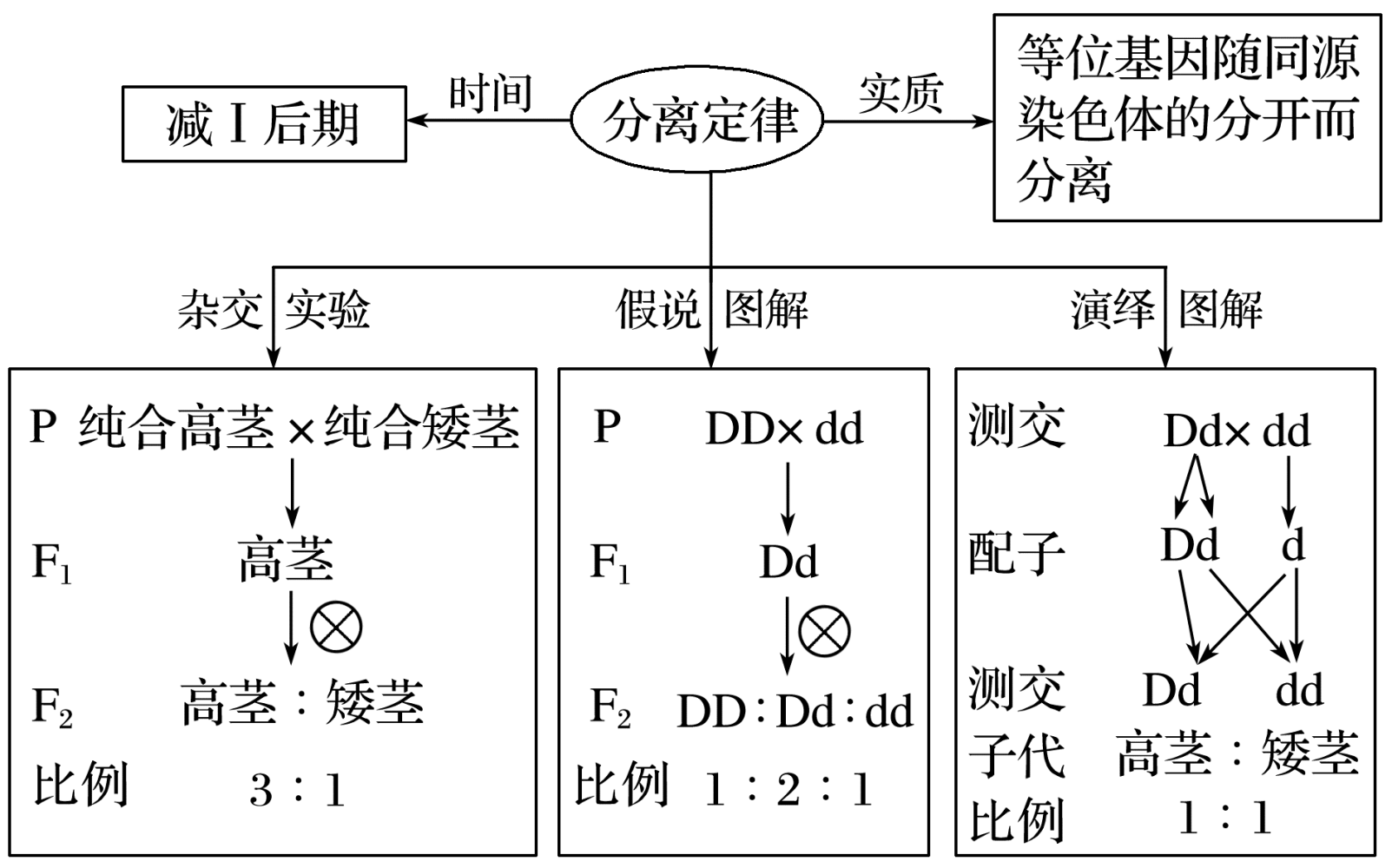 遗传的原理是什么呢_舌苔发白是什么原因呢