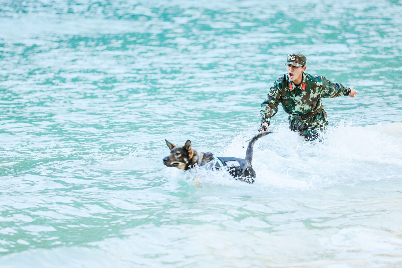 《奇兵神犬》今晚大结局 姜潮不舍落泪昆龙送惊喜