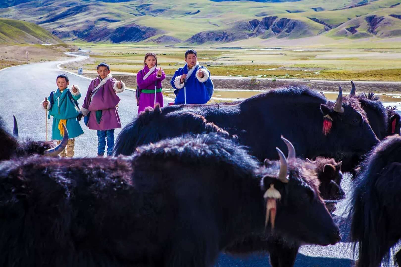 《天籁梦想》你的故乡也是别人的远方