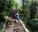 蒙顶山扬子江中水，蒙山顶上茶