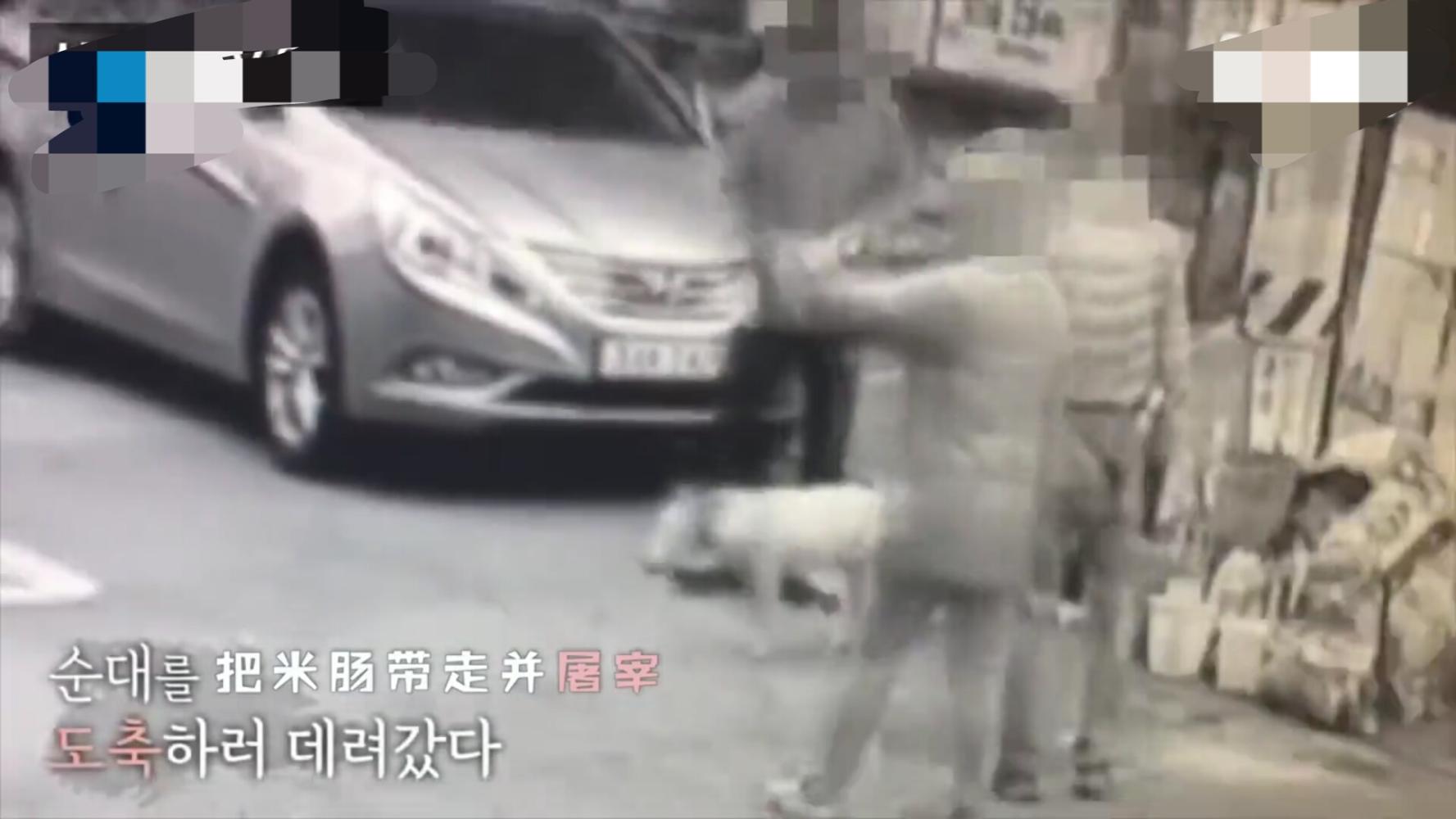 宠物犬被捕狗队上门抓走宰杀，官方通报：处置人员被行拘10日_新浪新闻