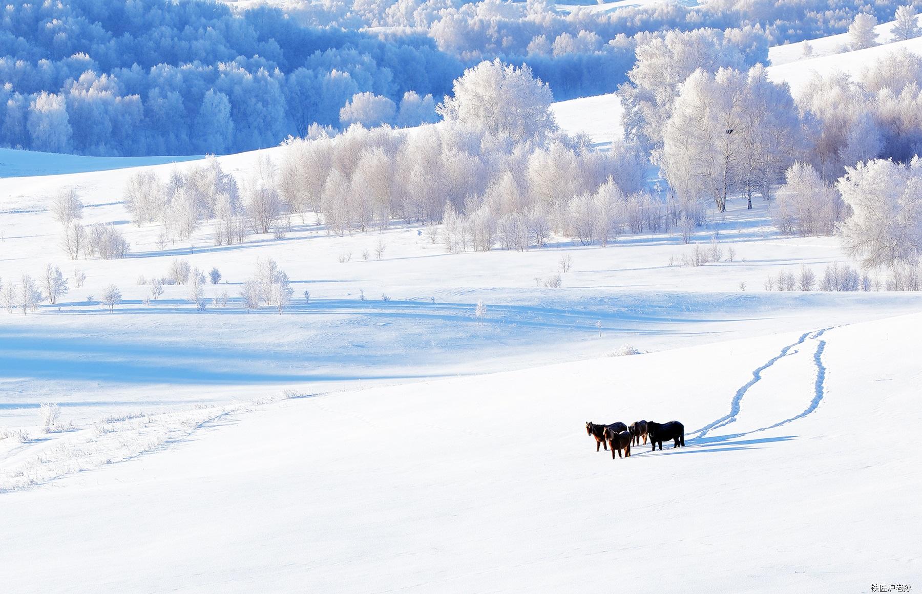 银装素裹的冬季,大雪把人迹覆盖在雪下,呈现最原始的自然环境.