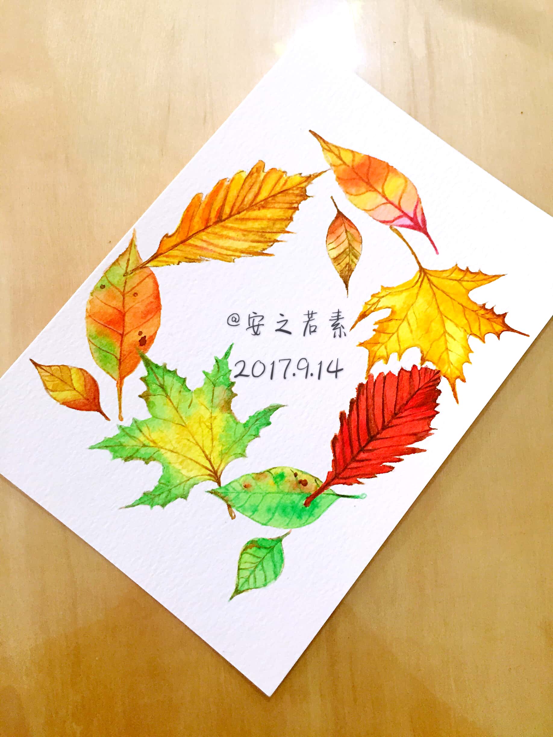 【百绘成触】绘画群主题团练第25期【一叶知秋】