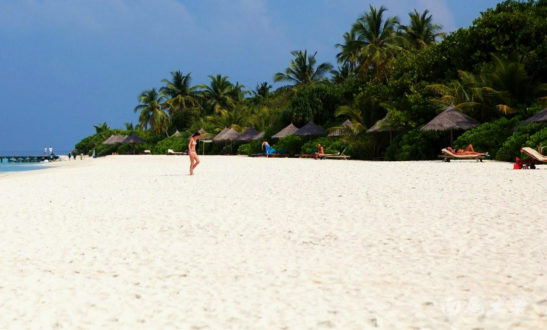 艾美酒店()|马尔代夫,攻略(图片,天气,浮潜,沙滩),岛屿游记,代理价格-海岸线官网