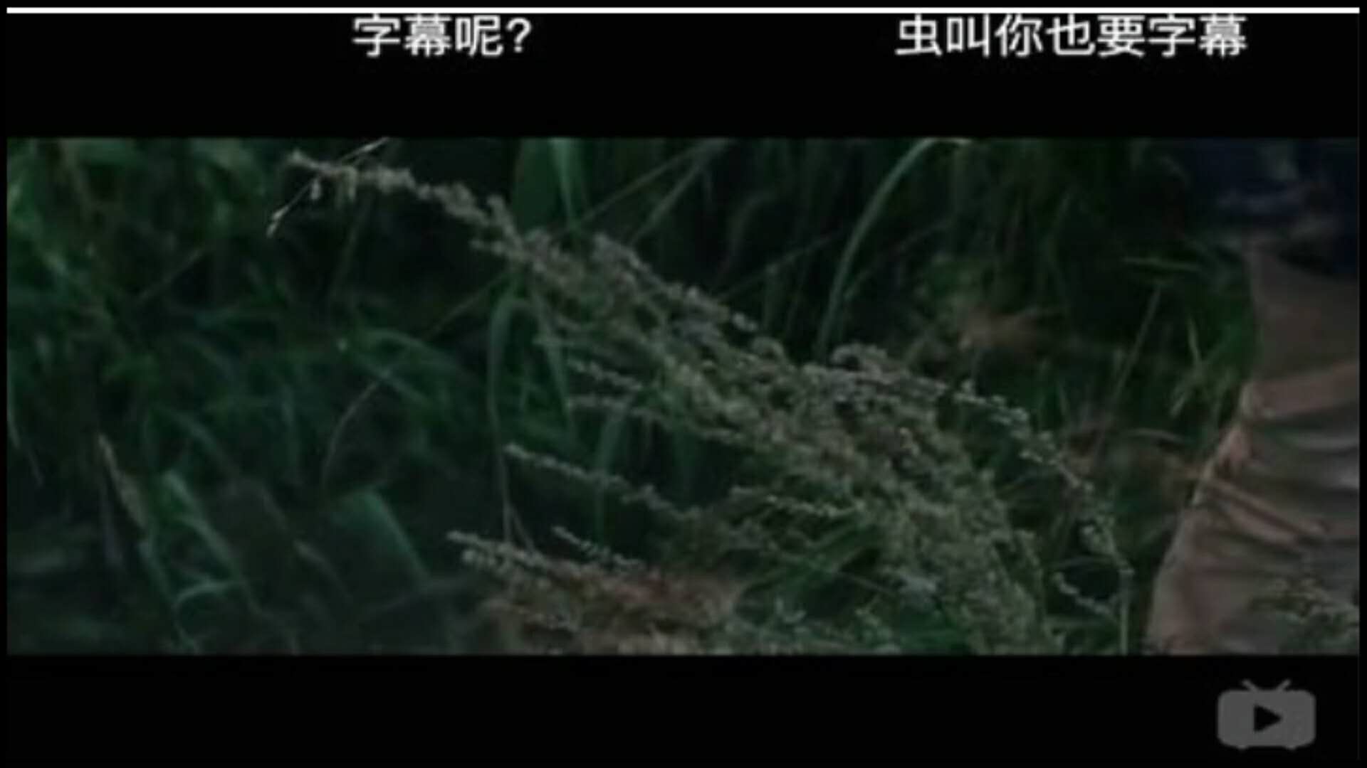 前方高能| 你见过B站最搞笑的弹幕是什么?都是