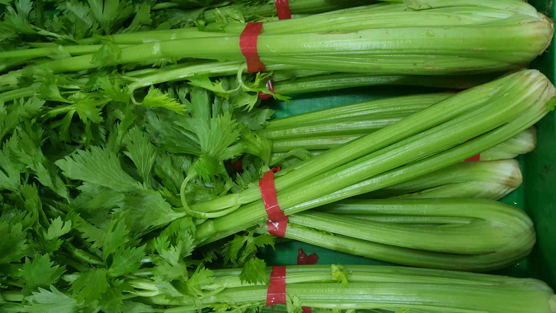 芹菜保鲜库建造，芹菜的储存方法