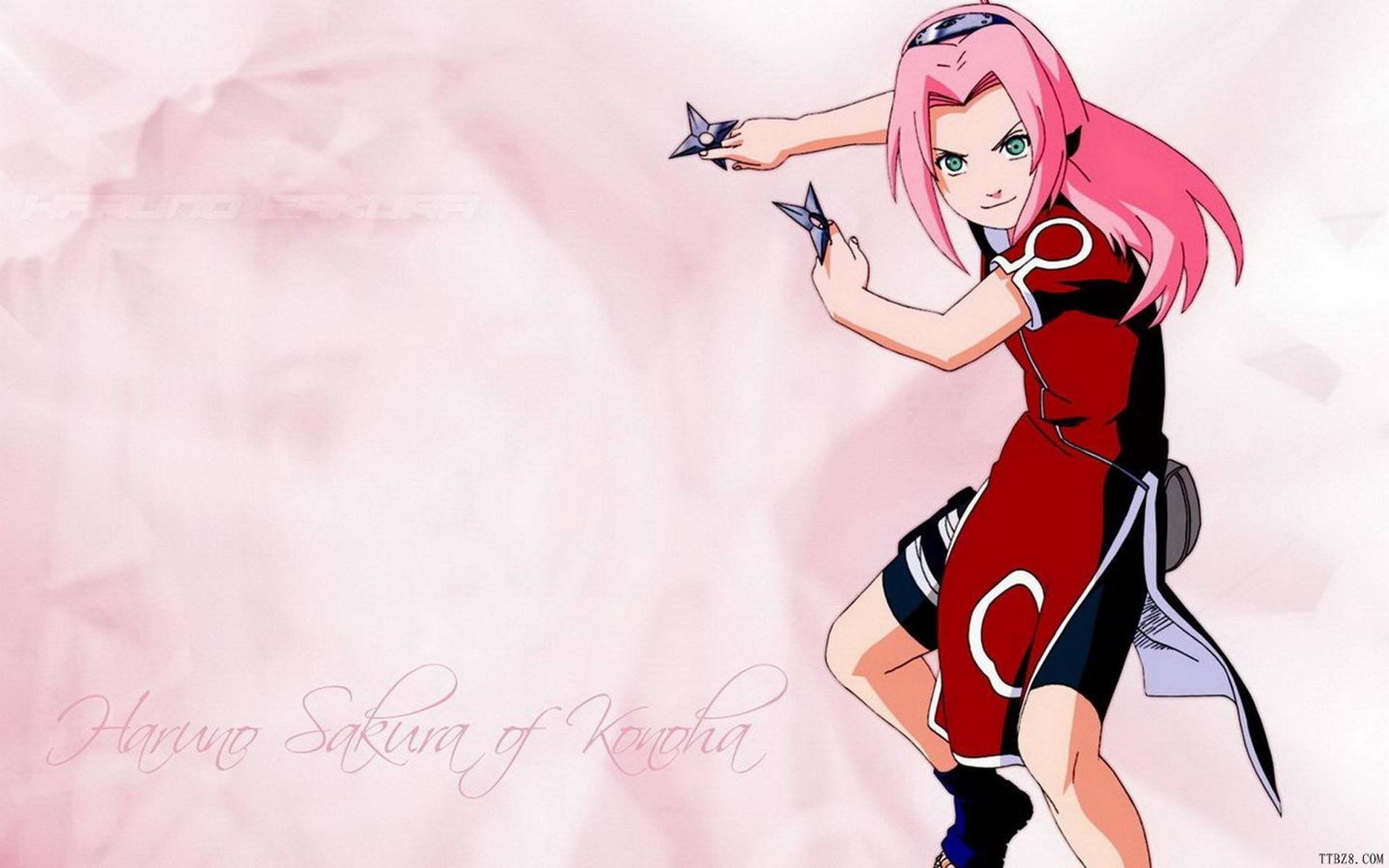 动漫向：一个让人讨厌，很渣的女性角色——春野樱《火影忍者》|春野樱|佐助|鸣人_新浪新闻