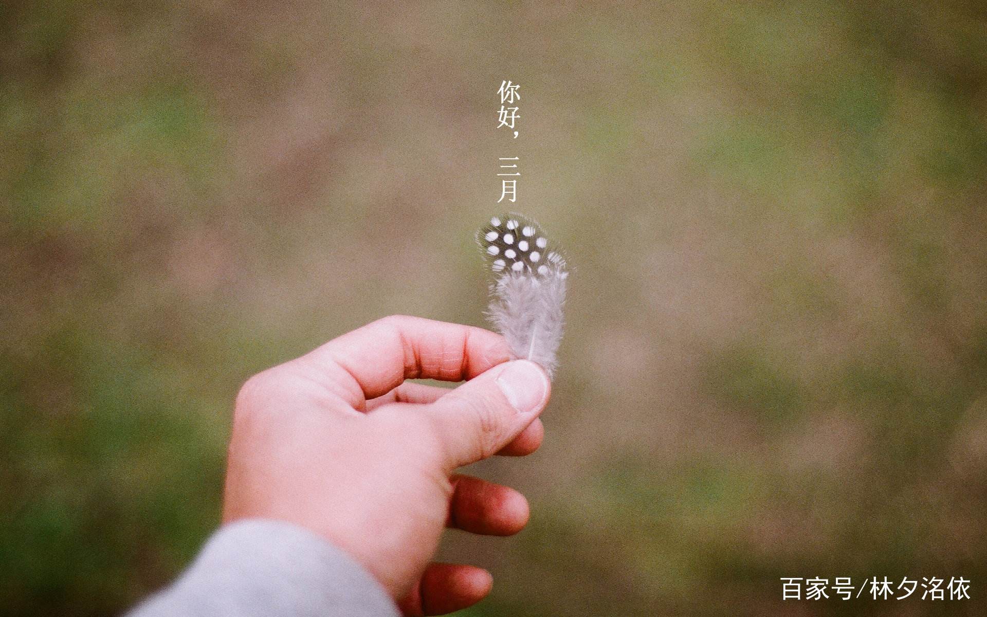 24个唯美短句 | 你好,三月;花开,春风醉!|春风|时光|句子_新浪新闻