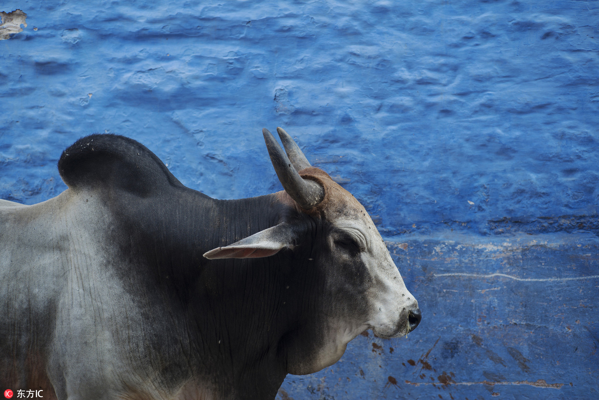 在印度,坐火车亦或是坐公交车拼得都是体力!