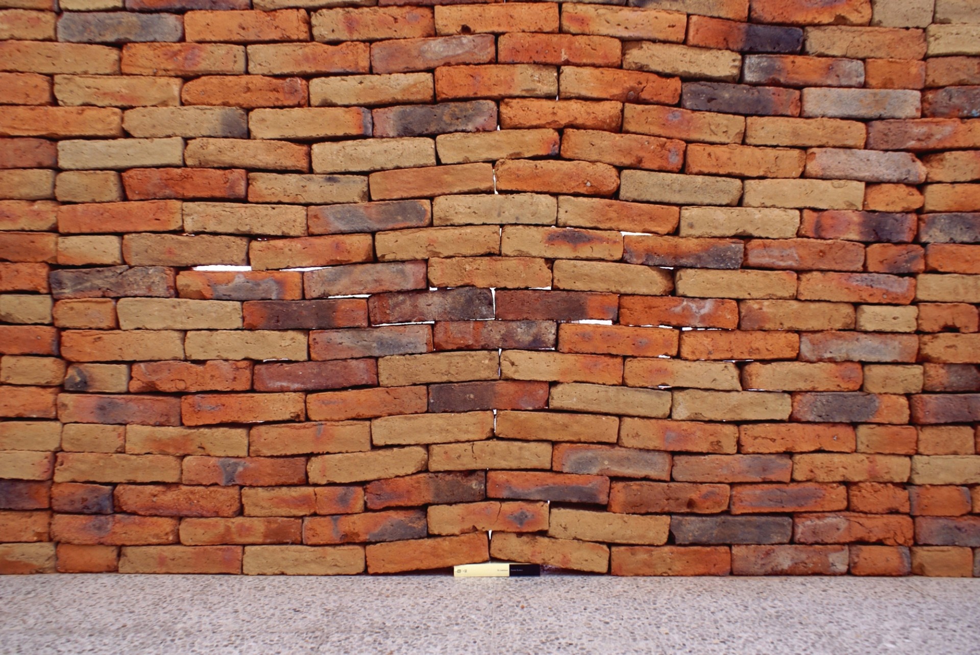 一本书打破了砖墙的根基墨西哥艺术家致敬卡夫卡