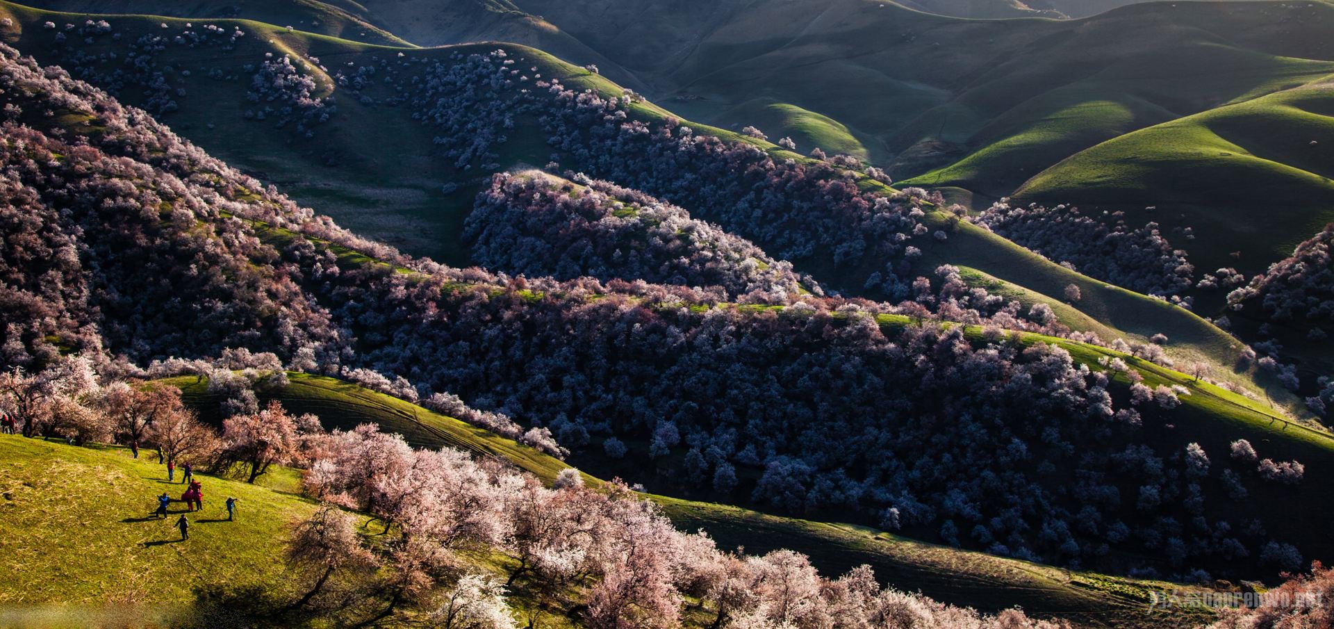 清明假期又要来了,准备好去哪玩了吗?2018清