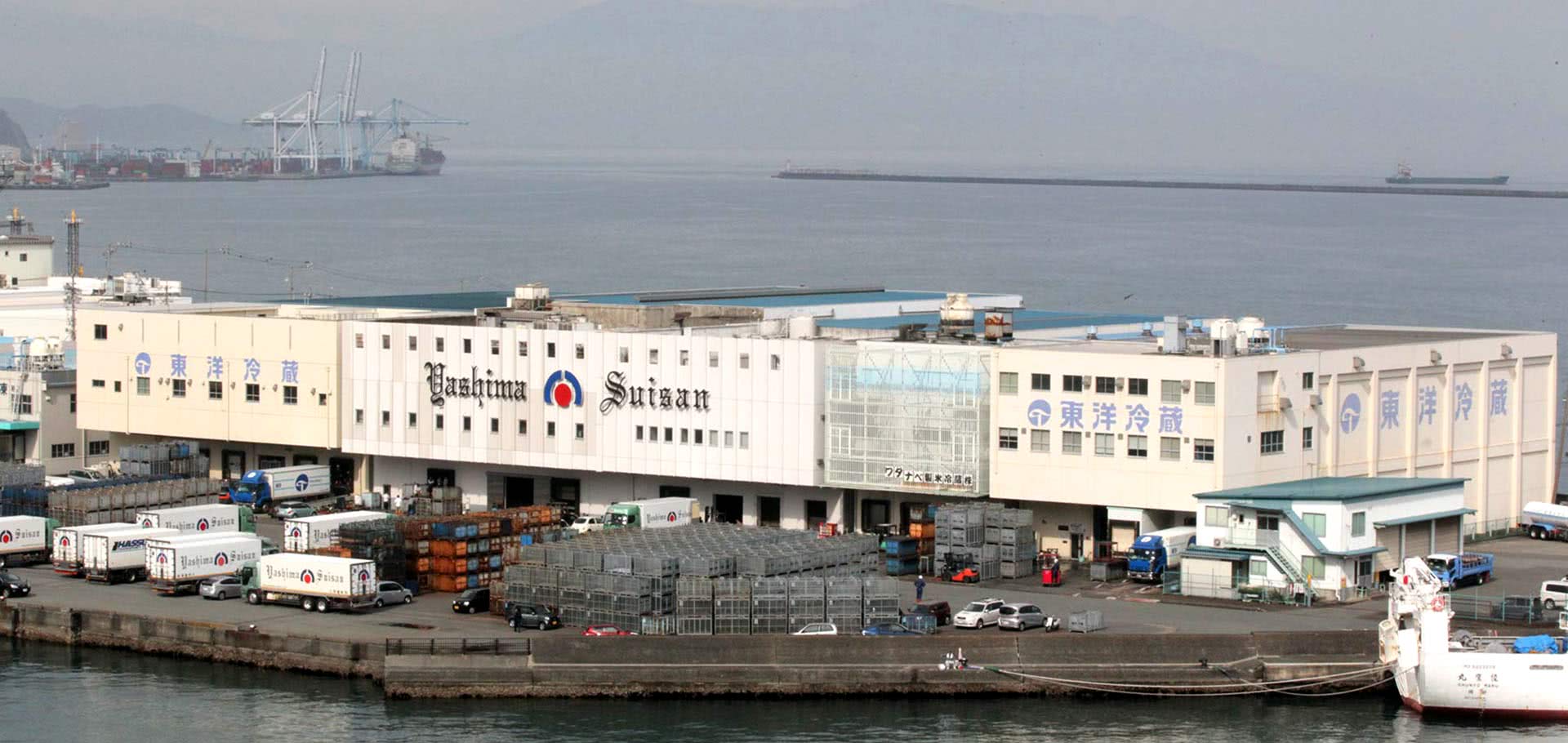 生鱼片为日本国菜,为保持新鲜冷冻金枪鱼温度