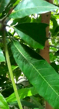 内涵段子:手艺真不错,我很喜欢这个渔网!