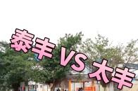 中山坦洲探秘2025年实地考察与实用指南