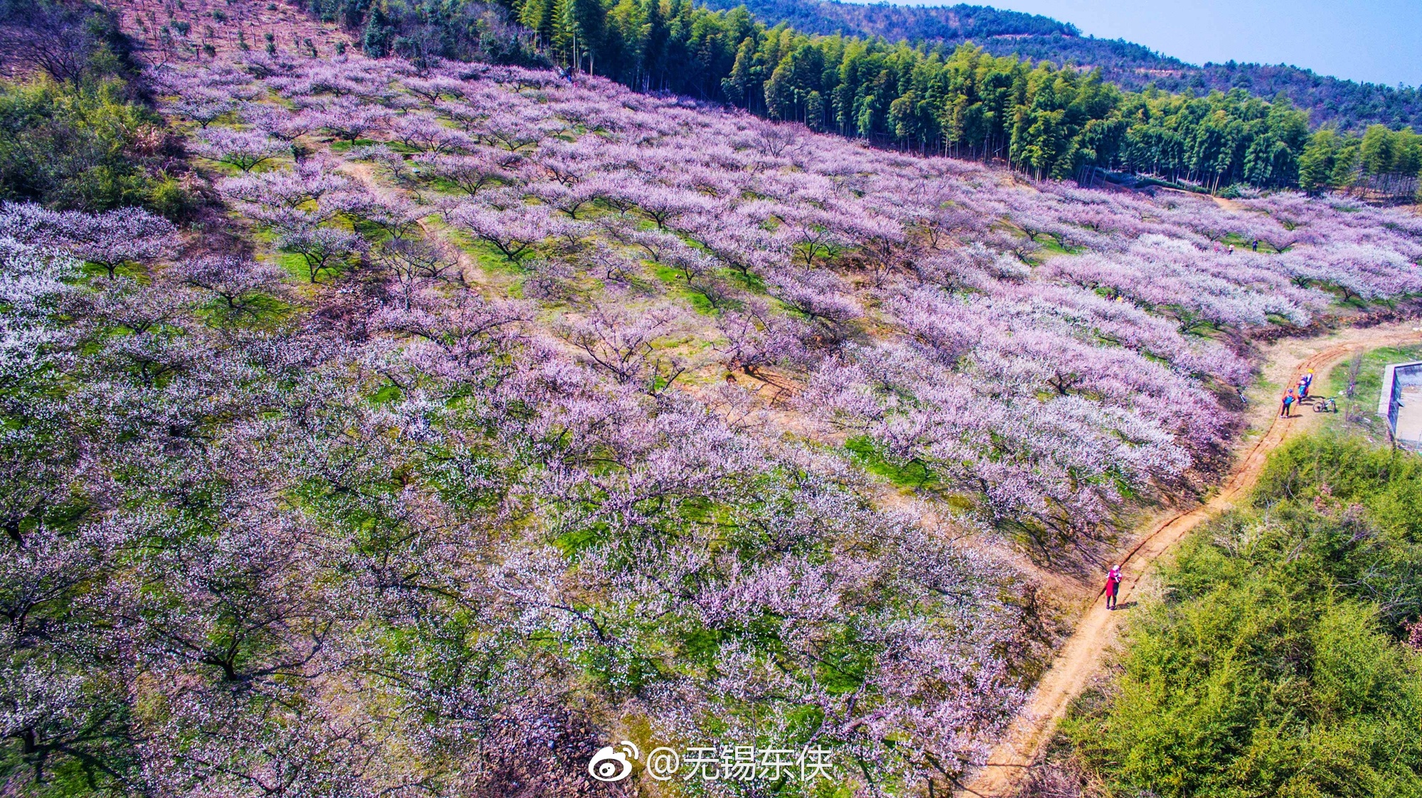 话不多说来一波宜兴淦里梅林的高空照片