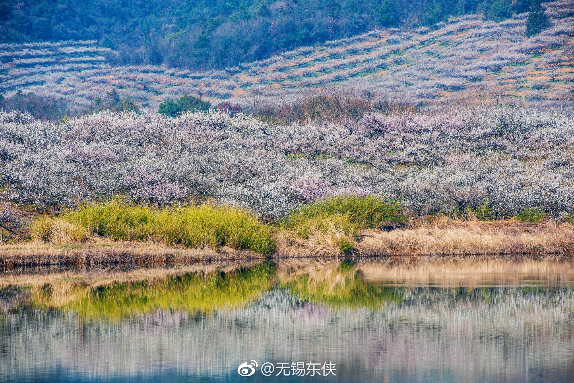 宜兴张渚镇区西面