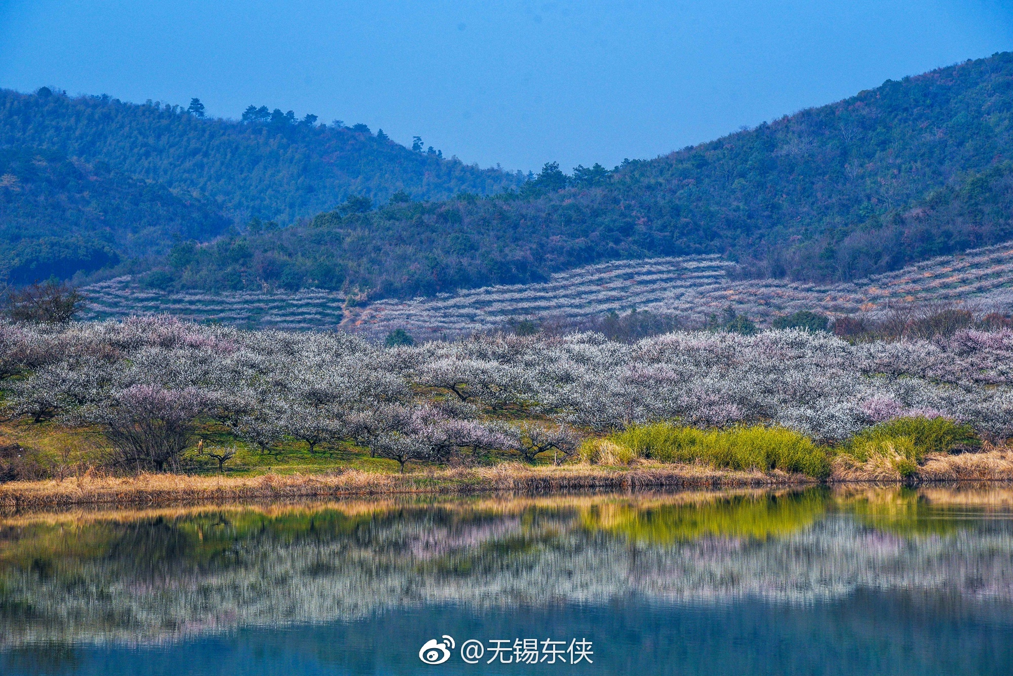 宜兴张渚镇区西面