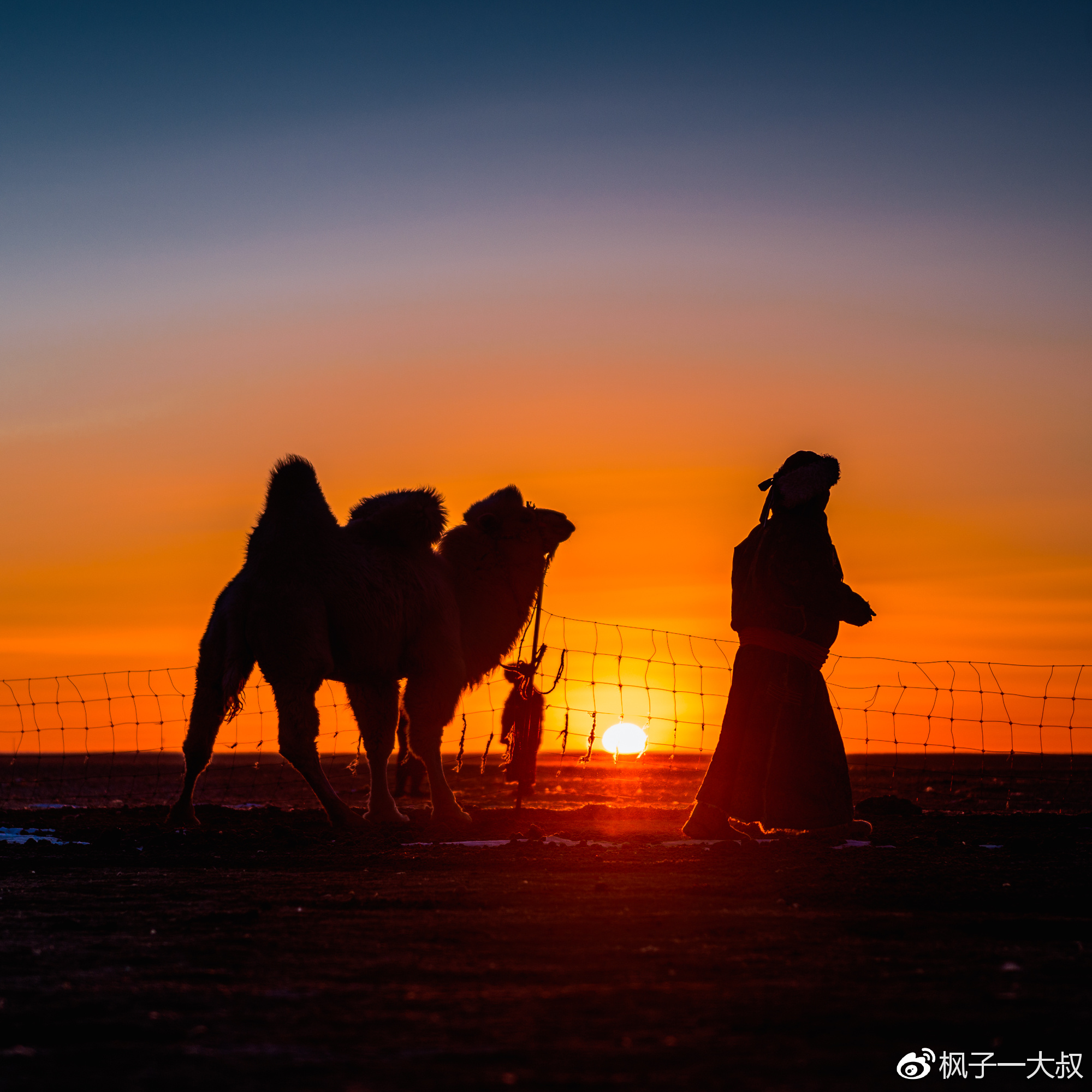 第一次骑骆驼,就玩命狂奔15公里,还在苏尼特右旗戈壁发现神秘红峡谷