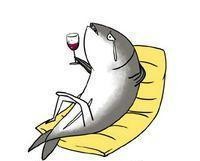 车型导购｜“躺着”去旅行 这六款15万左右的SUV绝对可以满足你！