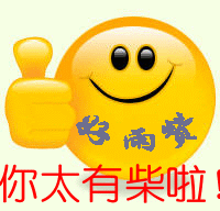 再有人问你这事,你就说,我是党的儿子.