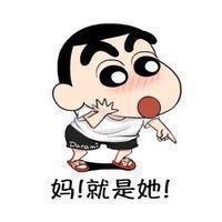 蜡笔小新我要嫁给他表情包