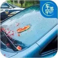 春节出行，这几个停车“雷区”我们不可不知！