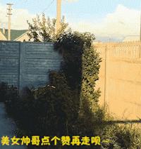 爆笑GIF图:大姐请把头缩回去,口水快掉下来了