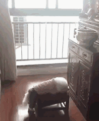 搞笑段子:最新吃火龙果的方法