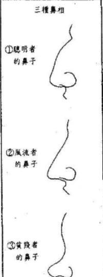 鼻子代表二十岁至四十五岁的运气，鼻梁有节中年时会转业或离婚