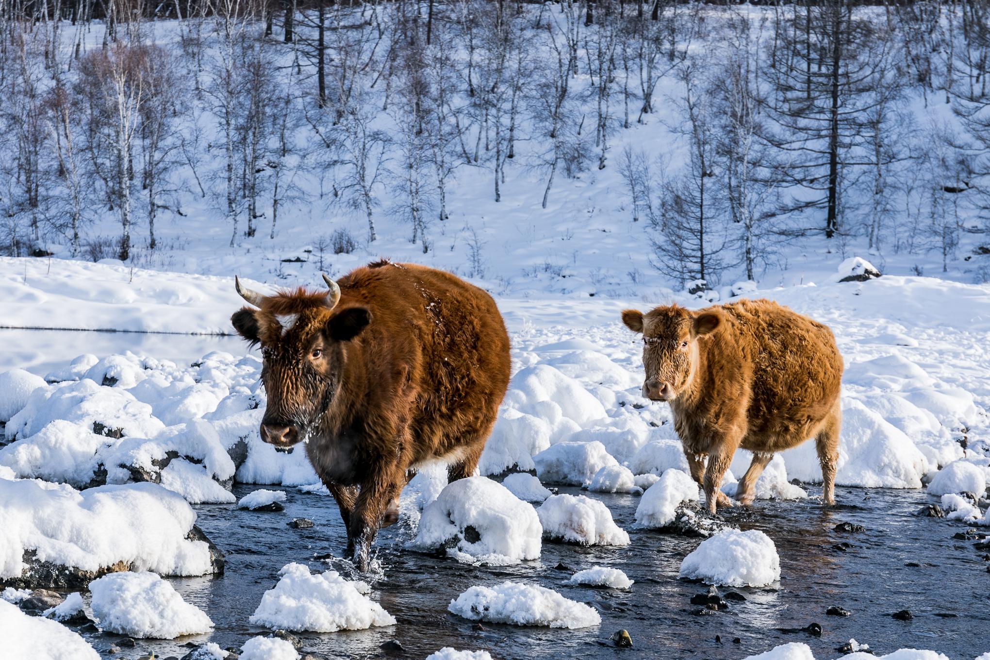惯了吐槽坑人的景点,今天来分享下那些不坑的